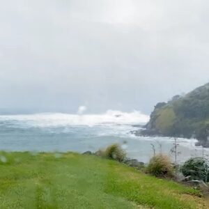 Martin Henderson Instagram - Not sure how much awareness there is outside of New Zealand right now, but we are being hammered by a pretty violent cyclone which has put the nation into a state of emergency. Fortunately, we remain safe but our hearts go out to those who have lost homes and property. I sincerely apologize for the disruption to the planned live signing for tomorrow but unfortunately it has to be postponed till Feb 24th at 12 noon PST. Thanks for your understanding.