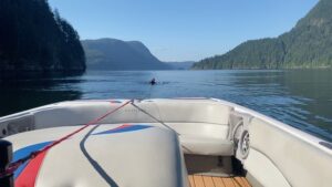Martin Henderson Instagram - This is what a Sunday in #virginriver country looks like. So grateful that this is our backyard while we film in Vancouver. I’m only a beginner but I’m gonna get good at this sport - I love that it offers such an opportunity to find grace and power at the same time! Hope y’all had a great weekend and hopefully you got to feel the beauty and healing power of nature too! Back to set tomorrow to get season 5 to you soon(ish)! ♥️ #getoutside #keepmoving #natureheals #nevertoooldtolearn #trysomethingnew