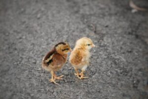Matthew Daddario Instagram - Two chicks w/ cute butts