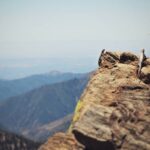 Matthew Daddario Instagram - Lizards got a rock with a view