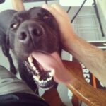 Matthew Daddario Instagram - More boon love.