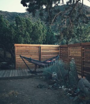 Matthew Daddario Instagram - People in hammocks are pre-wrapped grizzly snacks.