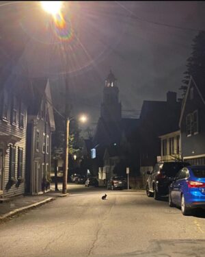 Matthew Gray Gubler Instagram - by the pricking of my thumbs, something ridiculous this way comes…