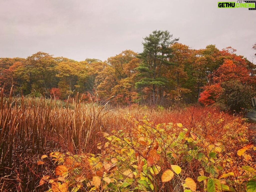 Matthew Gray Gubler Instagram - gourd boy shout out to nature