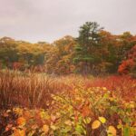 Matthew Gray Gubler Instagram – gourd boy shout out to nature