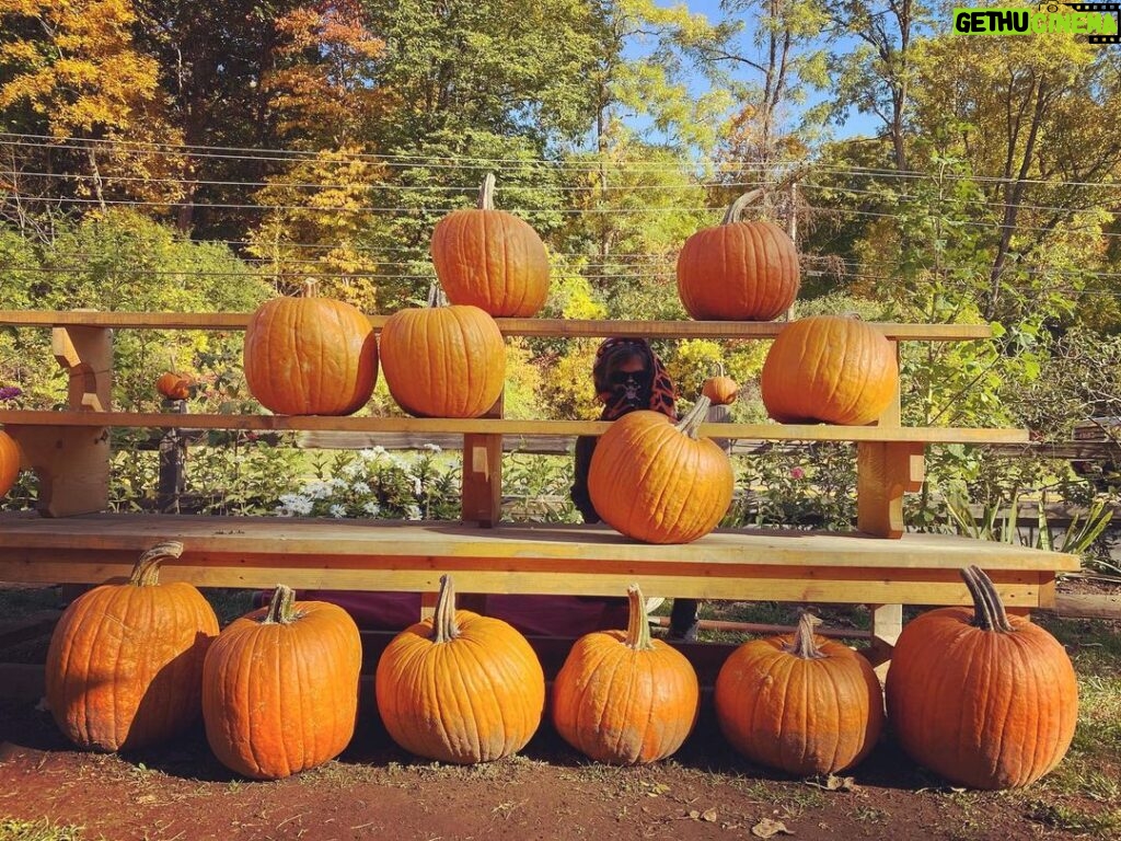 Matthew Gray Gubler Instagram - 12 pumpkins 1 gourd boy