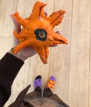 Matthew Gray Gubler Instagram - “the only thing better than 1 gourd on your hand is 3 gourds on your table.” - Gourd Boy Magazine @gourdboymagazineinc