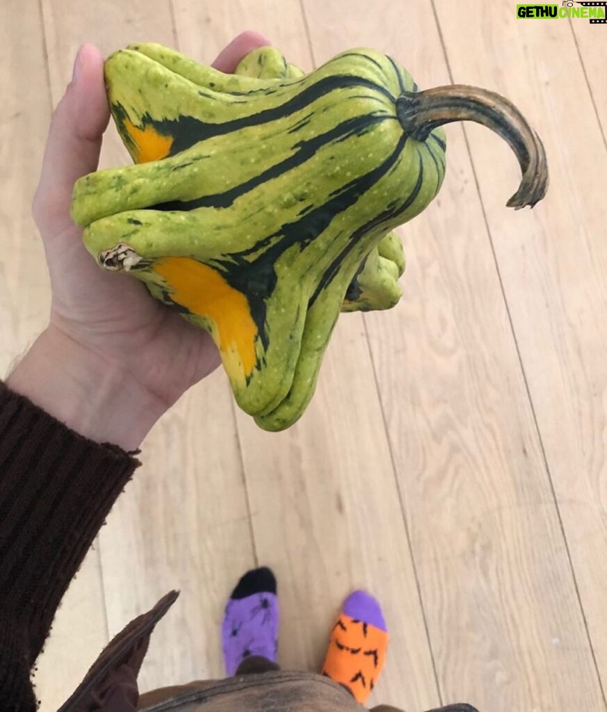 Matthew Gray Gubler Instagram - “the only thing better than 1 gourd on your hand is 3 gourds on your table.” - Gourd Boy Magazine @gourdboymagazineinc