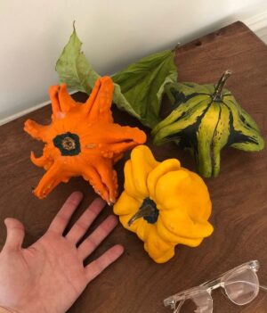 Matthew Gray Gubler Instagram - “the only thing better than 1 gourd on your hand is 3 gourds on your table.” - Gourd Boy Magazine @gourdboymagazineinc