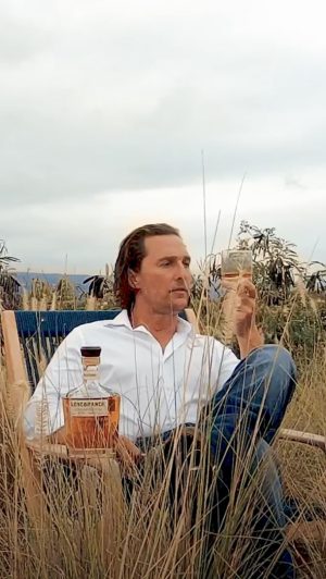 Matthew McConaughey Instagram - build a better nest