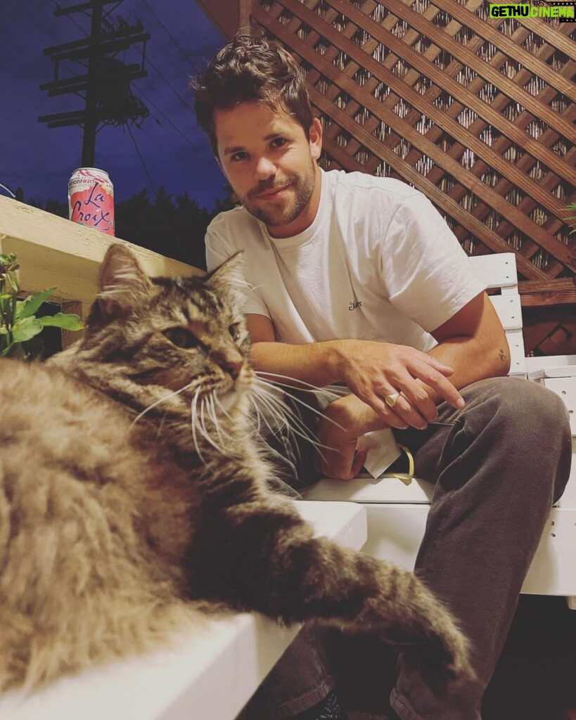 Max Carver Instagram - meow