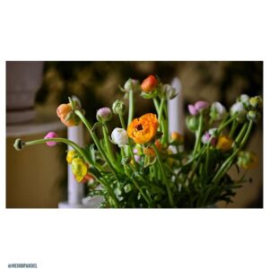 Mehdi Pakdel Instagram - .
نوروزتان پیروز
تن و جان‌تون همیشه سلامت
.
@mehdipakdel @ranaazadivar83