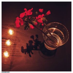 Mehdi Pakdel Instagram - .
ساقه‌ی شمعدانی
سکوت
رقص خون زیر پلک‌ام.
.
برای امیر و هادی که امروز تولدشان است.
@amirjadidi  @hejazifar.hadi