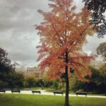 Mehrave Sharifinia Instagram - 🍂🍁’ این هوای ابری و نم‌نم بارون و رنگ درخت‌ها و چای نوشیدن‌های مدام، روحِ عشاقِ پاییز رو، مثل من، تازه می‌کنه. ماه زیبای آبان هم شروع شد، کم‌کم داریم به روزهای اوجِ خزان نزدیک می‌شیم. همین روزهاست که ترافیک و چراغ‌قرمزهای شهر از عطر نرگس و زیباییش لبریز بشن❤️ ‘ دلم می‌خواد همیشه پاییز باشه. ‘ پی‌نوشت: الف: 📚اگه در خوندن کتاب «خانه‌ی لهستانی‌ها» همراه ما هستین و کتاب رو تهیه کردین، لطفا خوانش اول و دوم رو گوش بدید و تا پنجشنبه، فصل سوم، یعنی از صفحه‌ی ۱۹ تا ۲۳ رو خودتون مطالعه بفرمایید. پنجشنبه‌ ۳ آبان ماه خوانش از صفحه‌ی ۲۴ تا ۲۷، انجام مى‌شه، فصلی که خودم خیلی دوستش دارم😍. لینک مراجعه به خوانش‌ها در بیو هست، مجبور نیستید عضو کانال بشید، می‌تونید صرفاً خوانش‌ها رو سیو کنید.🌹 ‘ ب: 👩‍❤️‍👩 و حالا می‌رسیم به مشکل اصلیِ ماهِ آبان: «به نظر شما من برای ملیکا❤️ کادوی تولد چی بخرم؟»😫 خودش نمی‌گه، انگار درخته😬، خب بگو بابا جان چی لازم داری دیگه، اَه👻 آدمو مجبور می‌کنه به فضای مجازی متوسل بشه. ‘ ‘ ‏Mehrave:📷&📝 ‘