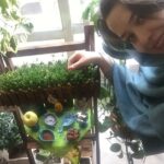 Mehrave Sharifinia Instagram - 🐔... دومين روز از سال جديد مبارك اميدوارم امسال همش كبكتون خرووووووس بخونه و براى تك تك شما پر از شادى باشه 😍... پى نوشت: اينقدر براى عدس هاى قشنگم موسيقى گذاشتم و بهشون آب پاشيدم كه سبز شدن و قد كشيدن 🌱🌱🌱... امسال اولين سبزه ى خودساز، سفره ى هفت سينم رو زيبا كرده 🌱🌱... اصلا اميدى بهش نداشتم ولى واقعا در نااميدى بسى اميد است انگار!!!