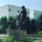 Mehrave Sharifinia Instagram - ... دخترها با دست هاى پدرانشان مى چرخند و صداى خنده شان كوچه ها را پُر مى كند. پدرها در صداى خنده ى دخترانشان هميشه زنده اند حتى اگر دستهاشان ديگر توان چرخاندن نداشته باشد. ----------- #پلاسكو #آتشنشان #قهرمان #پدر #كيش #لبخندهاى_احمقانه_يك_زن پى نوشت: "لبخندهاى احمقانه ى يك زن" به روز شد.