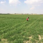 Mehrave Sharifinia Instagram - ... كودك درونت را در چمنزار رها مى‌كنى تا بدود فرياد بكشد بخندد در بيكرانِ سبز غلت بزند شاد شود ... ناگاه در ميان قهقهه‌هايش نسيمى مى‌وزد لاى موهايش مى‌پيچد و او آشفته و خسته و شاد با باد همراه مى‌شود و تو را براى هميشه ترك مى‌كند ... تو مى‌مانى و چمنزار سبز و جاى خالىِ كودكِ درونت كه حفره‌اى عميق در قلبت ايجاد كرده است.