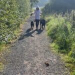 Mel B Instagram - Walking my boys 🌝 Leeds