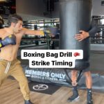 Mena Massoud Instagram - Boxing Bag Strike Timing Drill w/ @menamassoud 🥇 @hayabusacombat #boxing #workout #vegan #boxingdrills #menamassoud #disney #mma Members Only Boxing & Fitness