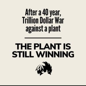 Method Man Instagram - People sellin whole pieces of ass on IG and y’all blow the whistle on a lil tree post. FOH! (See Previous post) y’all need your priorities checked or ya asses kicked! Ps: THE PLANT IS STILL WINNING... witcha goofy asses