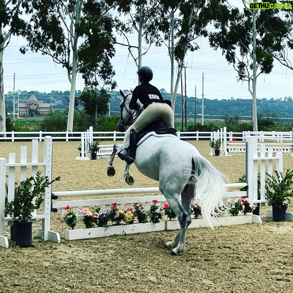 Michael Bisping Instagram - @elliebisping killing it at her Show Jumping competition. So far picked up a 1st place and a 2nd place. Del Mar Horsepark