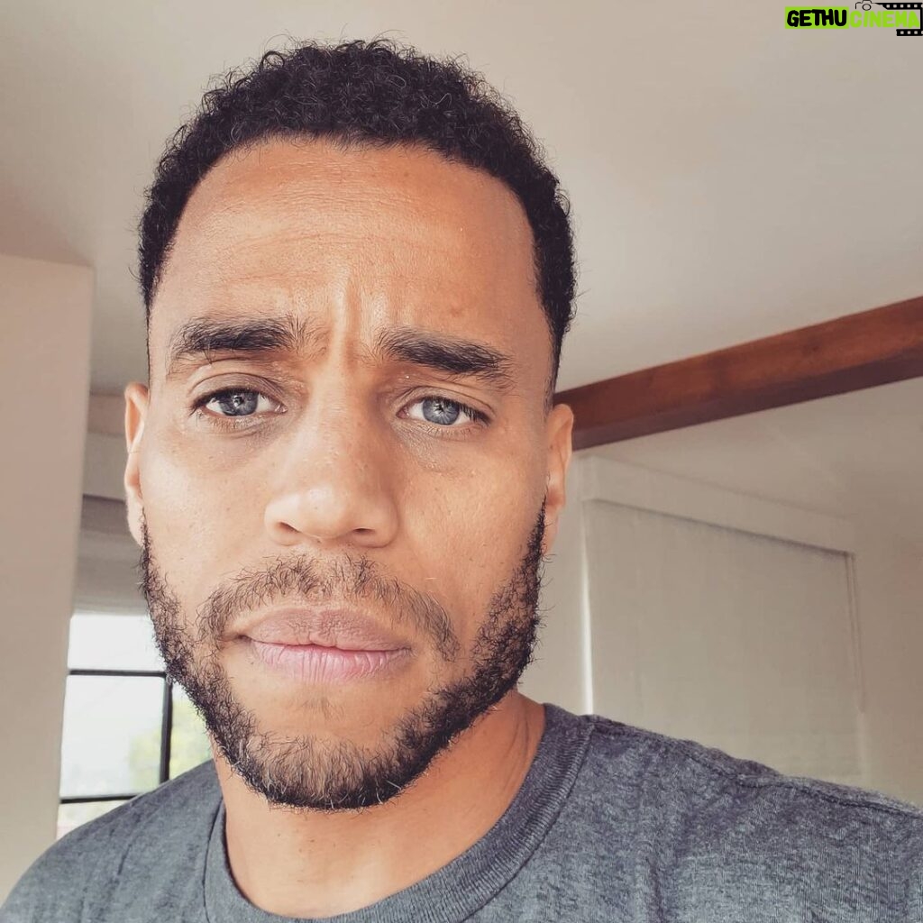 Michael Ealy Instagram - #ItsAboutTime that we have testing for earlier detection of Pancreatic Cancer. Today is #WorldPancreaticCancerDay and the @LusgartenFDN continues to raise awareness and much needed funds to continue the research to find a cure. Join us (link in bio) and we can fight this battle together!! 💯 percent of ALL donations goes directly to funding the research! 💜💜💜💜