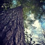 Michael Malarkey Instagram - had a magical time in the great smoky mountains celebrating my mama’s 60th birthday; she has truly given her life to serving other people and the environment and i am so proud of the waves she is making for ecological regeneration and biodiversity in her work. 60 is a big one! give her a shout if ya can! ;)) @nadiamalarkey