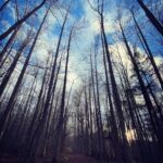 Michael Malarkey Instagram - had a magical time in the great smoky mountains celebrating my mama’s 60th birthday; she has truly given her life to serving other people and the environment and i am so proud of the waves she is making for ecological regeneration and biodiversity in her work. 60 is a big one! give her a shout if ya can! ;)) @nadiamalarkey