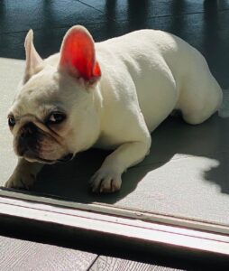 Michael Trevino Instagram - she’s always mean muggin in the afternoon