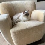 Michelle Pfeiffer Instagram - Goldilocks found her chair. 🤍