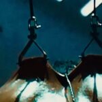 Miguel Instagram - [VIEWER DISCRETION ADVISED ] Couple things suspension will teach you… First , that you are unfuckwithable.   Second, (and more importantly) to trust yourself, trust your strength, and trust the power of vulnerability without needing to control the outcome . Couldn’t be more grateful for the revelations (l)earned through the shadow work, both mental and physical, preparing for this performance to announce my next lp, VISCERA, and the range of emotions it has evoked. The love, concern, encouragement, anger, and curiosity are equally warranted and appreciated. Thank you , love you . These emotions intrinsically relate to this album . Lastly, a very special thank you to @sonyelectronics I couldn’t have asked for a more supportive and trusting partner, going above and beyond #forthemusic . Wait till you hear the music