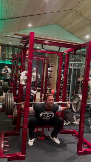 Mike O'Hearn Instagram - 450 lbs with slant boards 20° & a pause on a 
12 Inch box & 
 Lifting shoes for more range , I don’t use a belt or sleeves. 
  to top it off,  I was fasted  the day before 

I freaking love this stuff .. how hard can I make it ❤️⚔️🐺 

This maybe one of my most difficult squats I’ve done in my life 

So fun 

Doing the 30 day blitz volume 2