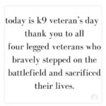 Mike O'Hearn Instagram - Respect K9