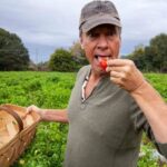 Mike Rowe Instagram - Mike – Absolutely LOVING the new episodes of Dirty Jobs. Love seeing you rolling up your sleeves and still getting in there. Was curious though – you kinda pussed out on the Carolina Reaper thing. How come you didn’t try the hottest pepper ever made? In the old days, you would have eaten one. Still love ya! - Pat Lawhon Hi Pat, To be honest, my intention on that day was to eat whatever Ed put in front of me. I wasn’t looking forward to it, because frankly, I don’t really enjoy super spicy food. I like a little heat with my carbonara, and maybe a little Tabasco on my eggs, but I don’t understand the current obsession with swallowing the hottest peppers on the planet just to say, “I did it!” as sweat, tears, and snot stream down my face. But still, I was game, and I went to Puckerbutt with every intention of chowing down on a ghost pepper, or a Carolina Reaper, or a mouthful of Napalm, or whatever Smokin’ Ed Currie put in front of me. However - and I know this sounds lame - I had a prior engagement that turned out to be completely incompatible with swallowing peppers that ranked 4 million on the Scoville scale. Specifically, I was scheduled to fly to Nashville that night, and record a song with John Rich early the next morning.  When I shared this with Ed’s partners and employees, Ed’s own people warned me NOT to eat the super-hot stuff. I’m not exaggerating. Off camera, they said, “Ed will light you up. Do NOT go toe to toe with Ed Currie. He’s immune to the pain.” One guy pulled me aside and said, “Seriously man, “this sh@t will f@*k you up for DAYS! – Do NOT eat the Ghost Pepper!”  And so, I didn’t. Perhaps it was a pussy move, but I felt like I’d made a promise to John Rich, and if those godforsaken scrotum-shaped gasoline bombs had in fact rendered me speechless, I’d have no one to blame but myself, and the world would have been denied the feel-good hit of the season, "Santa’s Gotta Dirty Job." So, Zach Hall stepped in, and thank God he did. The Ghost Pepper messed him up for at least 36 hours. Have Yourselves a Happy and a Spicy New Year! PS There's a new episode Sunday night on Discovery. 8pm. It's very, very dirty. . . #DirtyJobs @Discovery