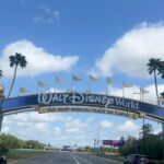 Mileide Mihaile Instagram - Play pra assistir como foi nosso dia no Epcot! 🐭🇺🇸 Epcot Disney World