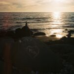 Milo Manheim Instagram - Found some lost film. Life is beautiful.