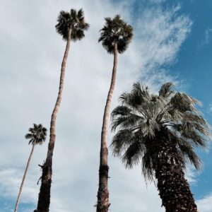 Milo Ventimiglia Instagram - Hey Fellas. Palm Springs, CA. MV