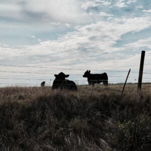 Milo Ventimiglia Instagram - Fellas. Amarillo, TX. MV