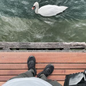 Milo Ventimiglia Instagram - Zurich, Switzerland. MV