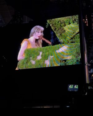 Mindy Kaling Instagram - The first night of the LA Eras tour was everything! @haimtheband set the tone by destroying in their home town and then @taylorswift, well, did her bejeweled thing and 70,000 of us were like “how can we know every single lyric to 5 hours of songs?”. There were no highlights. It was all highlight. Just be happy I’m not posting the video @katelinden took of me screaming along to “Delicate”. Thank you Tree and Taylor!