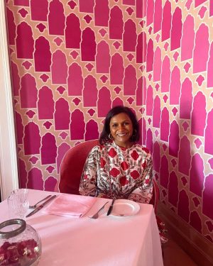 Mindy Kaling Instagram - The Pink City
