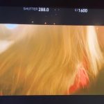 Minnie Instagram - X-FILE