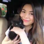 Miranda Cosgrove Instagram - If you live in the LA area and are interested in adopting one or two of these sweet little kittens, you can contact @kittenrescuela 🐱💕