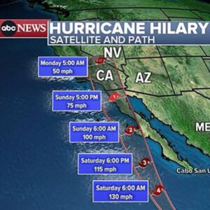 Misha Collins Instagram - It’s nice of Mother Nature to offer to water my plants in Southern California while I’m in Charlotte this weekend, but I think a hurricane might be overdoing it. Hawaii’s burning and so are Canada and Greece. California, Vermont, and India are flooding, droughts are drying up lakes around the world and there is 100-degree sea-water off Florida and devastating heat waves worldwide… 

Climate change is real and it’s here. Biden’s huge IRA bill is really doing something about it by moving us to 80% renewables by the end of the decade. A President Trump would just burn more Saudi and Russian oil, grab a Big Mac and watch it all burn. This is yet another reason we have to actually care and actually vote. Check your voter registration status right now: bit.ly/GoVoteMC

LINK IN BIO