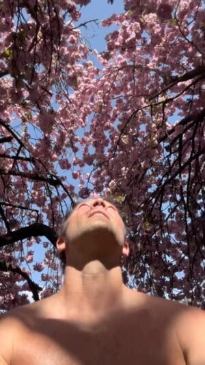 Misha Collins Instagram - The trees are much better-dressed than I am today. 

#treesofinstagram