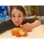 Mitsuki Takahata Instagram - My 2024 Beginning 😂 「PERFECT DAYS」と「哀れなるものたち」が 観たい！ 日本に帰ったら絶対行くんだ！
