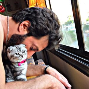 Mohammed Al Ahmad Instagram - my little baby boy
#Scar
#cats #cutecats 
#محمد_الأحمد #mohamad_al_ahmad