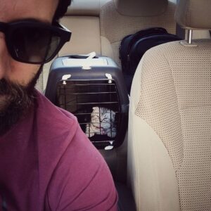 Mohammed Al Ahmad Instagram - #mohamad_al_ahmad  #scar 
@scar__cat 
جلبت لي السعادة أيها الصغير .. 
💓💓💓🐈