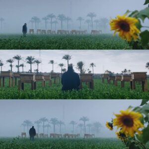 Mohamed Mamdouh Instagram - محمود يوسف مدير تصوير لعبة نيوتن.. تسلم ايدك 👏🏻
@myussif