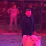 Mohamed Ragab Instagram -